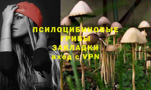 хмурый Абаза