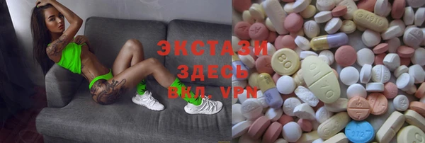 хмурый Абаза