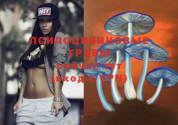 хмурый Абаза