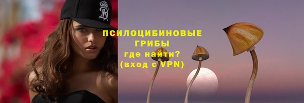 бошки Абдулино