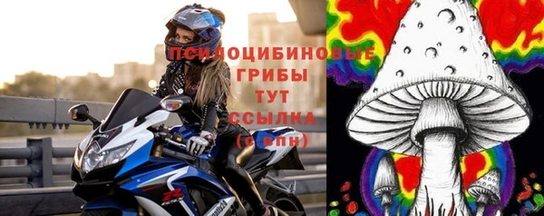 хмурый Абаза