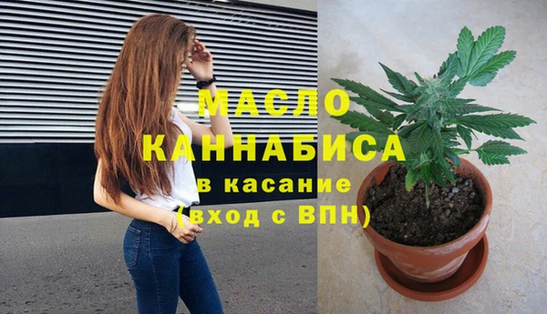 хмурый Абаза
